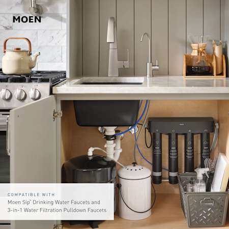 A large image of the Moen F9900 Alternate Image