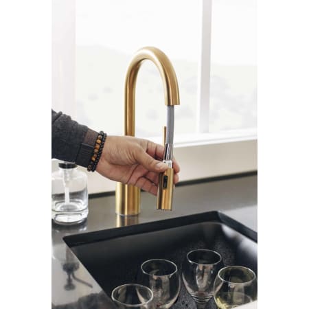 A large image of the Moen 5965 Alternate