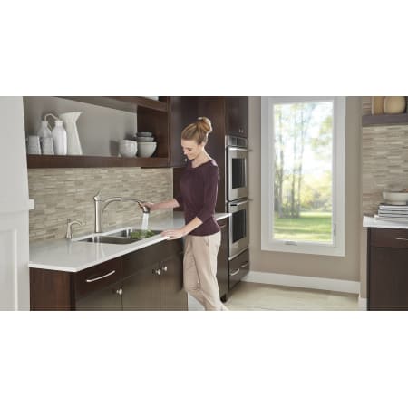 A large image of the Moen 9125 Moen 9125