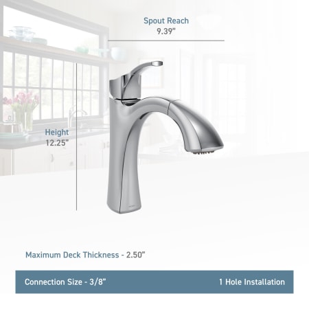 A large image of the Moen 9125 Moen-9125-Lifestyle Specification View