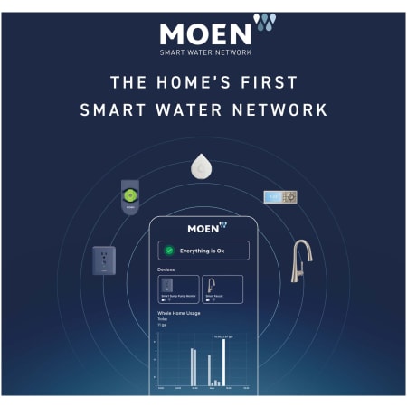 A large image of the Moen 920-006 Alternate Image