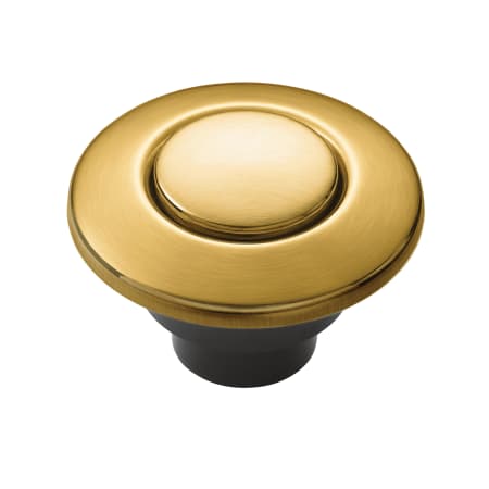 A large image of the Moen AS-4201 Brushed Gold