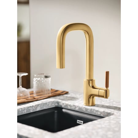 A large image of the Moen S74001 Alternate Image