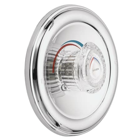 A large image of the Moen T170 Chrome