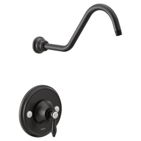 A large image of the Moen TS33102NH Black