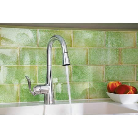 A large image of the Moen 5995 Moen 5995