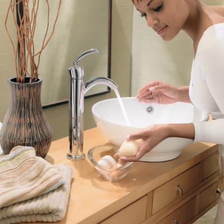 A large image of the Moen S6500 Moen S6500