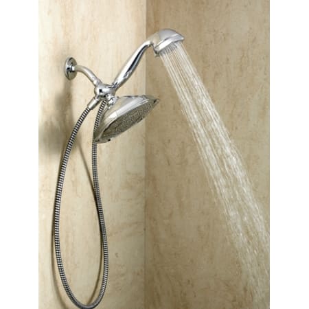 A large image of the Moen 21005 Alternate View