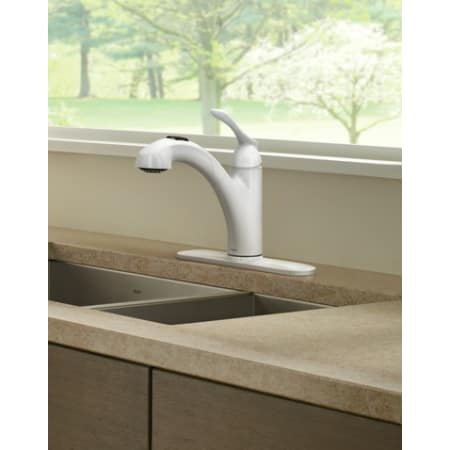 A large image of the Moen 87017 Alternate View