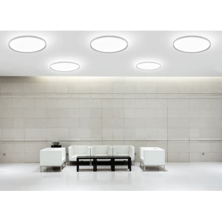 A large image of the Molto Luce BINAS-RD-32-D Molto Luce BINAS-RD-32-D