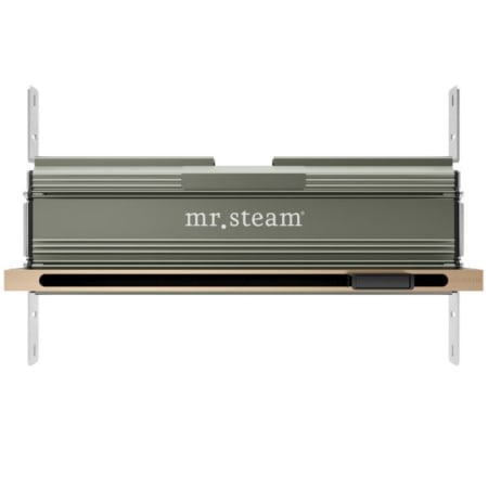A large image of the Mr Steam 104480 Brushed Bronze