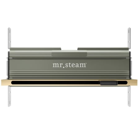 A large image of the Mr Steam 104480 Polished Brass