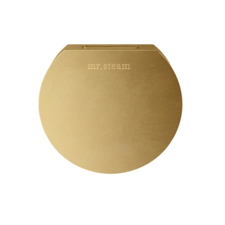 A large image of the Mr Steam 103937 Satin Brass