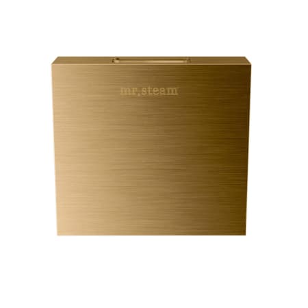 A large image of the Mr Steam 104040 Brushed Bronze