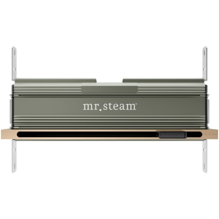A large image of the Mr Steam XBTLRL Alternate Image