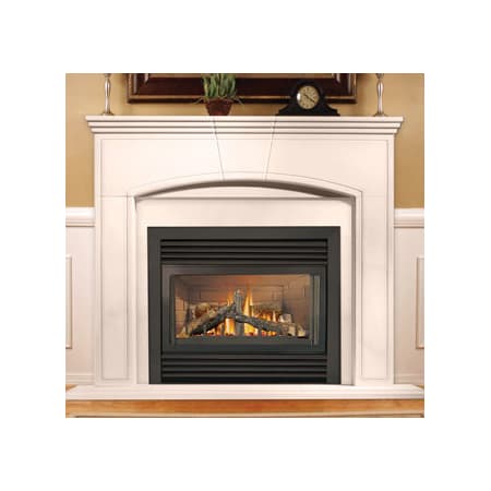 Napoleon Gd33nr Black 22 000 Btu Direct Vent Zero Clearance