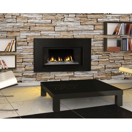 Napoleon GDI 30GN N A 24 500 BTU Direct Vent Natural Gas