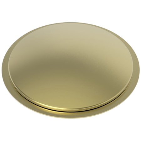 A large image of the Newport Brass 103 Satin Brass (PVD)