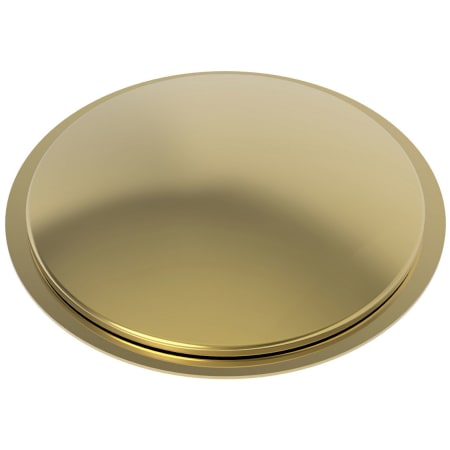 A large image of the Newport Brass 103 Polished Gold (PVD)