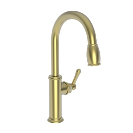 A large image of the Newport Brass 1030-5103 Satin Brass (PVD)