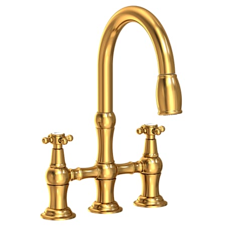 A large image of the Newport Brass 1030-5462 Aged Brass