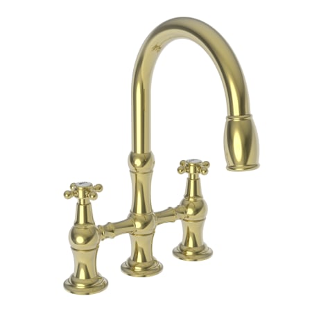 A large image of the Newport Brass 1030-5462 Polished Brass Uncoated (Living)