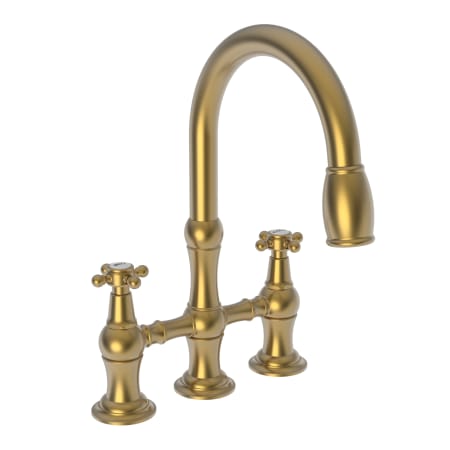 A large image of the Newport Brass 1030-5462 Satin Bronze (PVD)