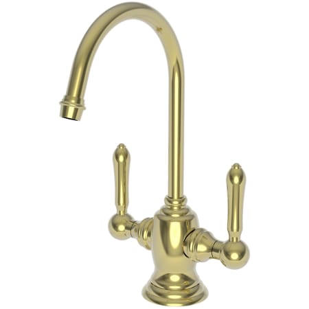 A large image of the Newport Brass 1030-5603 Polished Brass Uncoated (Living)