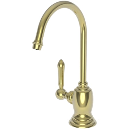 A large image of the Newport Brass 1030-5613 Uncoated Polished Brass - Living