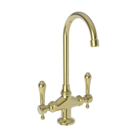 A large image of the Newport Brass 1038 Polished Brass Uncoated (Living)
