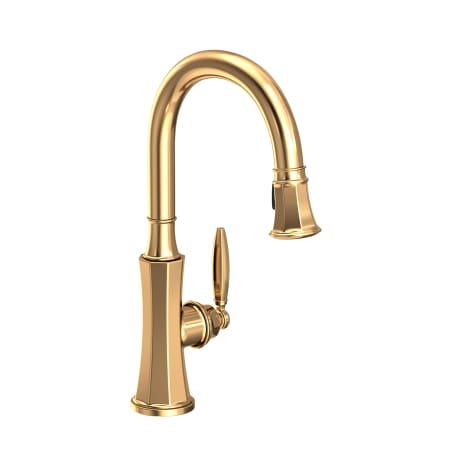 A large image of the Newport Brass 1200-5103 Polished Brass Uncoated (Living)