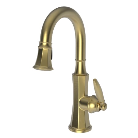 A large image of the Newport Brass 1200-5223 Satin Brass (PVD)