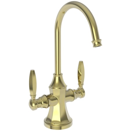 A large image of the Newport Brass 1200-5603 Polished Brass Uncoated (Living)