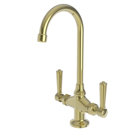 A large image of the Newport Brass 1208 Polished Brass Uncoated (Living)