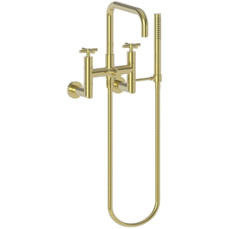 A large image of the Newport Brass 1400-4282 Polished Brass Uncoated (Living)