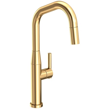A large image of the Newport Brass 1400-5143 Polished Brass Uncoated (Living)
