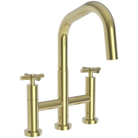 A large image of the Newport Brass 1400-5462 Polished Brass Uncoated (Living)