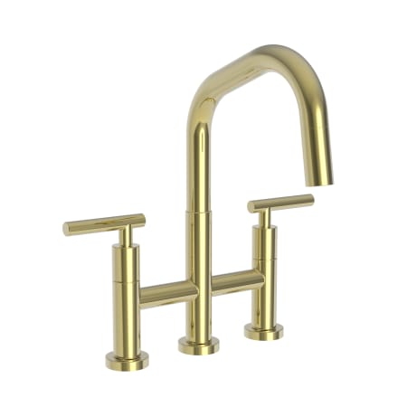 A large image of the Newport Brass 1400-5463 Polished Brass Uncoated (Living)