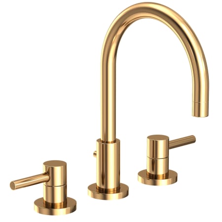 A large image of the Newport Brass 1500 Polished Brass Uncoated (Living)