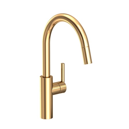 A large image of the Newport Brass 1500-5113 Polished Brass Uncoated (Living)