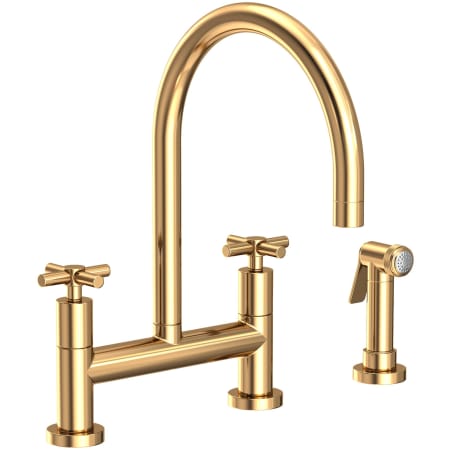 A large image of the Newport Brass 1500-5412 Uncoated Polished Brass - Living