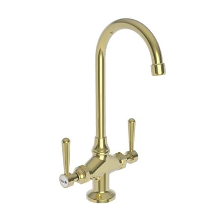A large image of the Newport Brass 1668 Polished Brass Uncoated (Living)