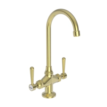 A large image of the Newport Brass 1668 Satin Brass (PVD)