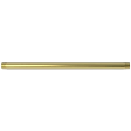 A large image of the Newport Brass 200-8118 Polished Brass Uncoated (Living)