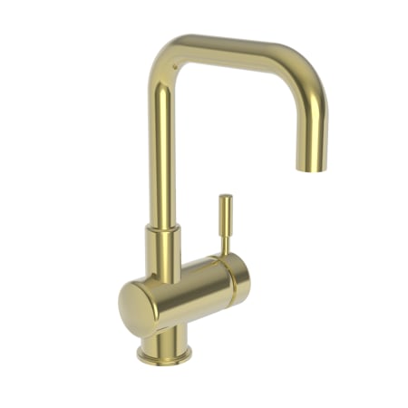 A large image of the Newport Brass 2007 Polished Brass Uncoated (Living)