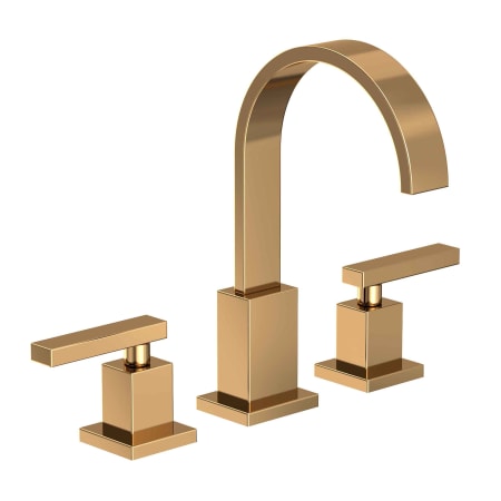 A large image of the Newport Brass 2040 Polished Brass Uncoated (Living)