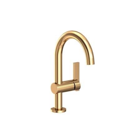 A large image of the Newport Brass 2403 Polished Brass Uncoated (Living)