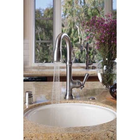 A large image of the Newport Brass 2470-5203 Newport Brass 2470-5203