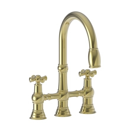 A large image of the Newport Brass 2470-5462 Polished Brass Uncoated (Living)