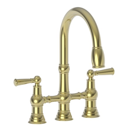 A large image of the Newport Brass 2470-5463 Polished Brass Uncoated (Living)